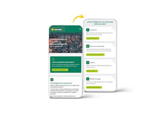 Test de Autodiagnóstico del Exportador